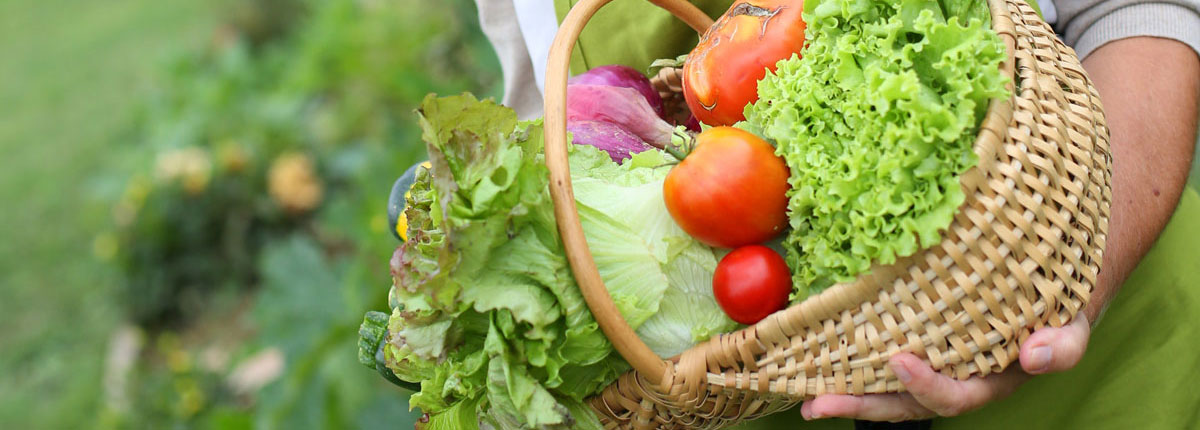 Vegetables from Vicki's garden